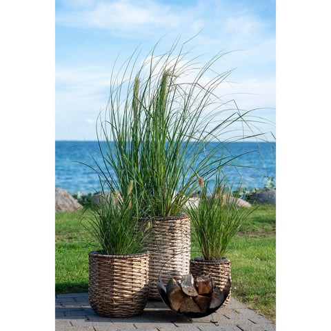 Rootz Hanoi Planters Set - Natural Planters - Bohemian Planters - Versatile Displays - 25x27cm, 34x36cm, 49x51.5cm