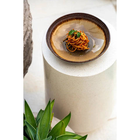 Rootz Comporta Pasta Plate Set - Dinnerware - Chip-Proof Plates - Crackle Glaze - 22cm x 22cm x 5cm