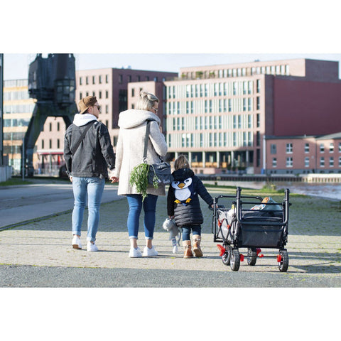 Rootz Folding Handcart - Collapsible Wagon - Portable Cart - Brake System - 120cm x 56cm x 67cm with Sunroof 99cm