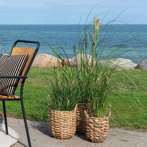 Rootz Hue Planter Set of 3 - Natural Seagrass Planters - Round Plant Pots - Versatile Decor - 25x20x28cm, 34x26x32cm, 49x31x37cm