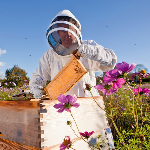 Rootz Beekeeping Suit - Full Body Beekeeper Protective Gear - White Cotton Suit - Removable Mesh Veil - Elastic Rubber Cuffs - XXL - 160cm x 53cm x 144cm