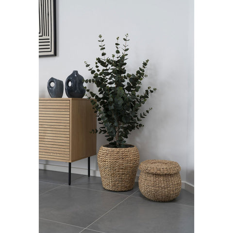 Rootz Eucalyptus Tree - Artificial Plant - Faux Greenery - Low-Maintenance Decor - 120cm x 46cm x 36cm