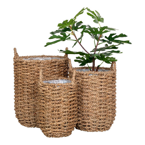Rootz Hue Planter Set of 3 - Natural Seagrass Planters - Round Plant Pots - Versatile Decor - 25x20x28cm, 34x26x32cm, 49x31x37cm