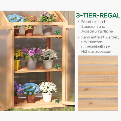 Rootz Mini Greenhouse - Compact Plant Shelter - Seed Starter - Wooden Frame - Optimal Light & Heat - 70L x 50W x 120H cm