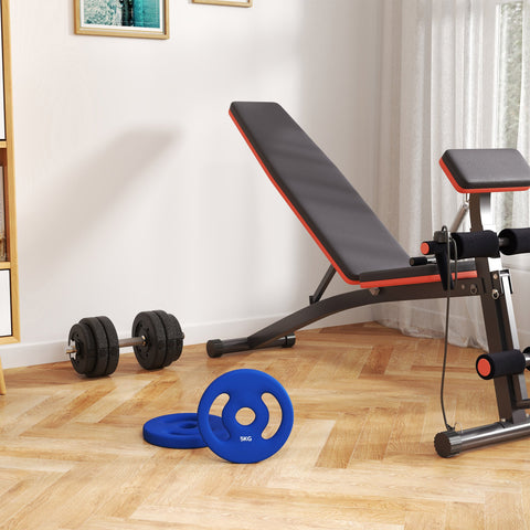 Rootz 2 x 5kg Weight Plates - Weight Set - Home Gym Plates - Durable Plastic - Ø20cm x 4cm - Ideal for Strength Training