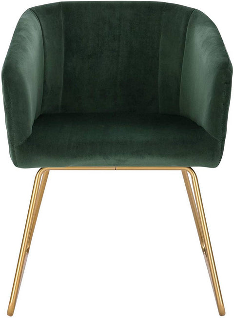 Rootz Velvet Dining Chairs Set of 2 - Elegant Chairs - Comfortable Seating - Sturdy and Durable - Golden Metal Legs - Non-Slip - Easy Assembly - 76.5cm Height - Supports up to 120kg