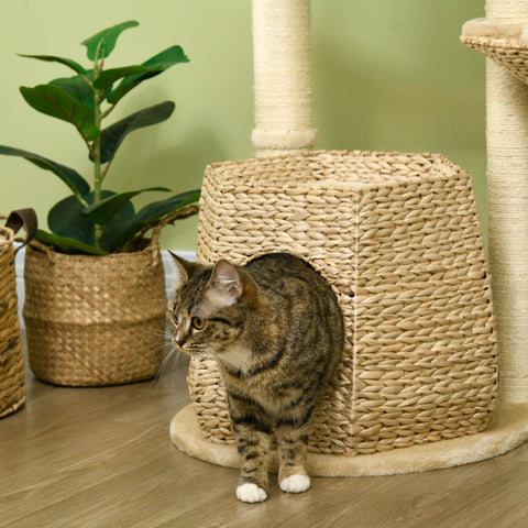 Rootz Cat Tree Climbing Tree - Scratching Board - Cat Play Tower - Reinforced Stability - 50cm x 50cm x 119cm
