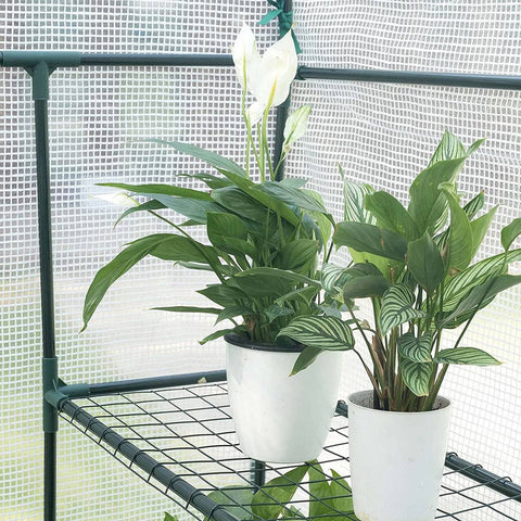 Rootz Folie Kas - Tuinkas - Plantenhuis - Geklimatiseerd, Duurzaam, Eenvoudige montage - Gelegeerd staal, PVC zeildoek - 2,15 mx 1,43 mx 1,95 m