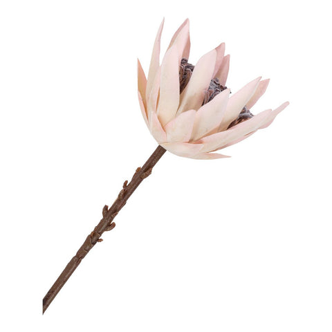 Rootz King Protea Bouquet - Artificial Flowers - Faux Blooms - Long-lasting Decor - 65cm