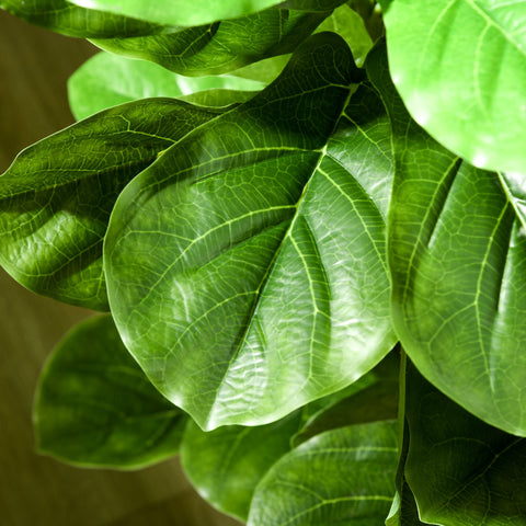 Rootz Set of 2 Artificial Plants - Fiddle Leaf Fig - Ficus Lyrata - Flawless Reality - Height 180cm with Pot - Ø17.5 x 14.5H cm