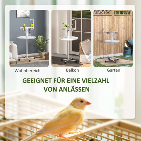 Rootz Bird Table - Bird Perch Stand - Parrot Playstand - Steel & Wood - 2 Stainless Steel Bowls - Portable - 60cm x 138cm
