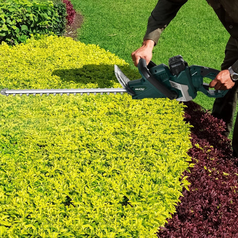 Rootz Electric Hedge Trimmer - Cordless Shrub Cutter - Garden Pruner - 180° Rotating Handle - 110L x 20W x 20H cm