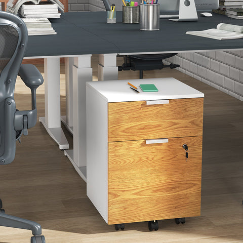 Rootz Office Drawer Storage Cabinet - Filing Cabinet - Locking Drawers - Secure Document Storage - 42cm x 40cm x 60cm