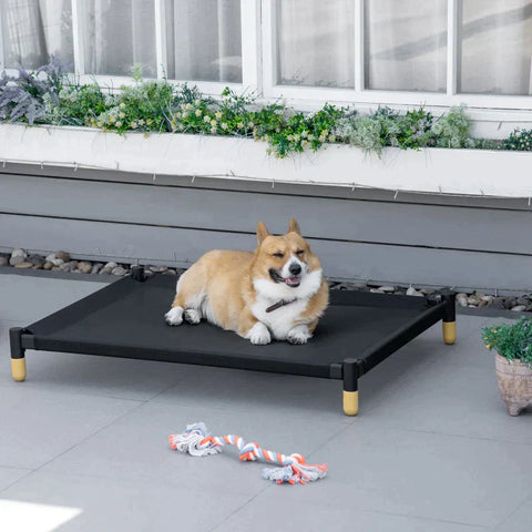 Rootz Pet Bed - Dog Lounger - Dog Bed - Raised Pet - Cat Bed - Dog Sleeping Place - Steel/Mesh Fabric - Black - 41" x 30" x 6".
