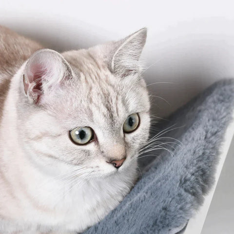 Rootz Cat Bed - Cat Lounger - Cat Wall Lounger - Cat Bed - Cat Shelf - Wall Mounting Plush Pad - White/Gray - 41 x 28 x 21 cm