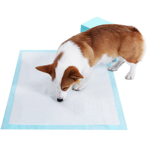 Rootz Training Cushions for Puppies - 100 Pieces - Training Cushion - Training Pads - Puppy Toilet - Hygiene Pad - Plasmat - Blue