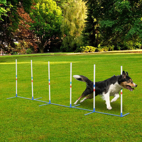 Rootz Agility-Set für Hunde – Hundetrainingsset – Hunde-Flechtrute – Aufbewahrungstasche – Stöcke Agility-Training für Haustiere Hund – Weiß/Blau – 305 x 60 x 94 cm