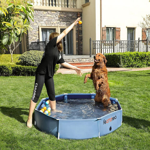 Rootz Dog Pool - Foldable Dog Pool - Dog Swimming Pool - Foldable Pet Pool - Outdoor Dog Pool - Easy To Clean - Blue