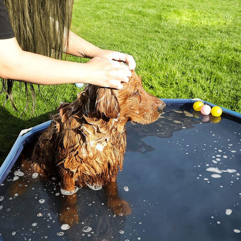 Rootz Dog Pool - Foldable Dog Pool - Dog Swimming Pool - Inflatable Dog Pool - Outdoor Dog Pool - Non-slip Dog Pool - PVC - Polyester - Blue - 120 x 30 cm (ø x h)