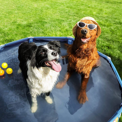 Rootz Dog Pool - Foldable Dog Pool - Dog Swimming Pool - Inflatable Dog Pool - Outdoor Dog Pool - Non-slip Dog Pool - PVC - Polyester - Blue -  120 x 30 cm (ø x h)