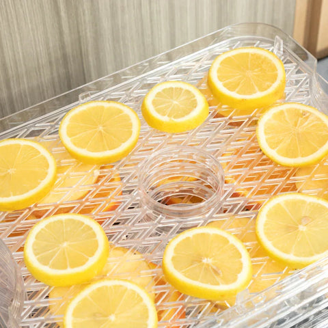 Rootz Dehydrator - Food Dehydrator - 5 Levels Dehydrator - Stainless Steel/PS/ABS - Silver/Transparent - 32 x 25 x 29cm