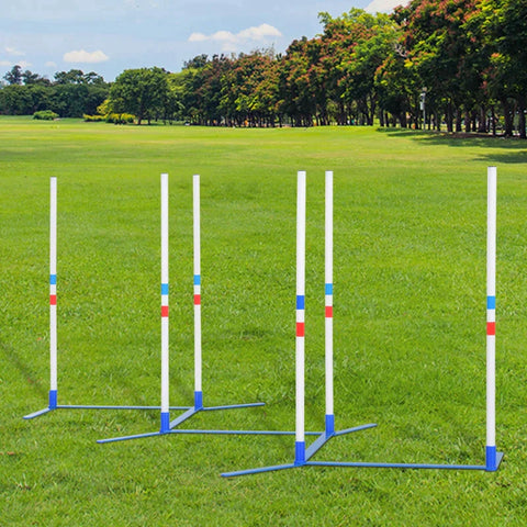 Rootz Agility-Set für Hunde – Hundetrainingsset – Hunde-Flechtrute – Aufbewahrungstasche – Stöcke Agility-Training für Haustiere Hund – Weiß/Blau – 305 x 60 x 94 cm